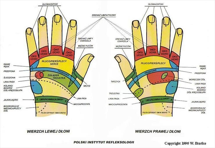 masaż, akupresura - Dłonie.jpg