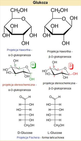 chemia organiczna - glukoza1.jpg