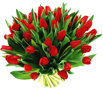 Kwiaty png - tulipany_2.png