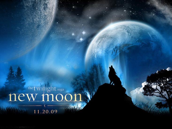 New Moon - The-Twilight-saga-New-Moon-twilight-series-4882955-1024-768.jpg