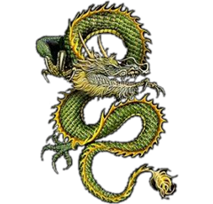 Wallpapers_Mobile - Dragon green.png