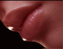 Usta - Lips.jpg