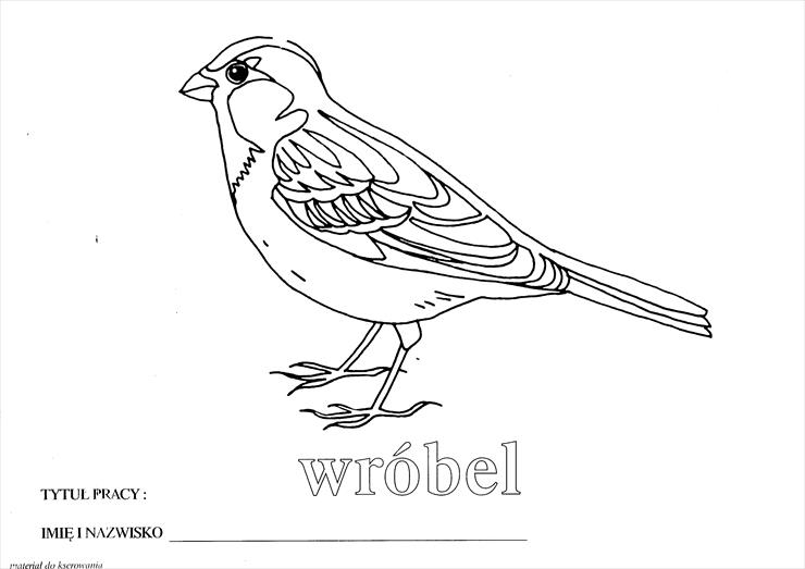 Polskie ptaki - Wróbel.TIF