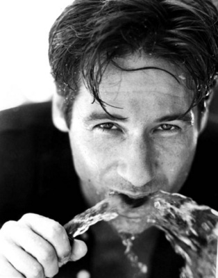  David Duchovny - untitled9.bmp