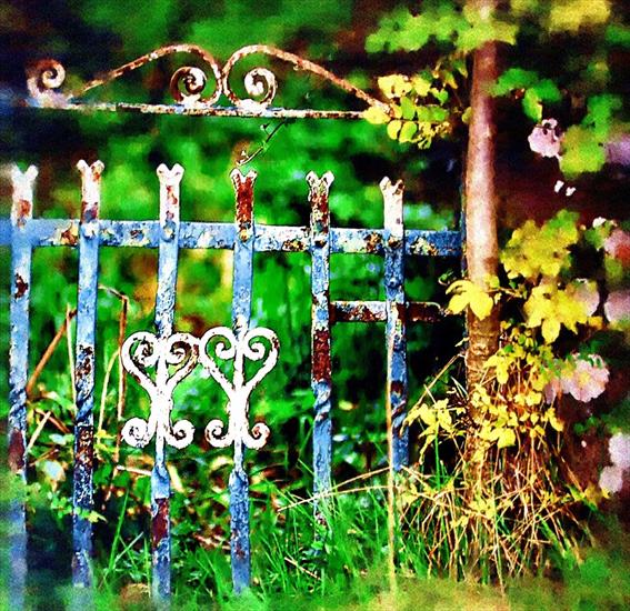 Natury kształt - wrought_iron_fence.jpg