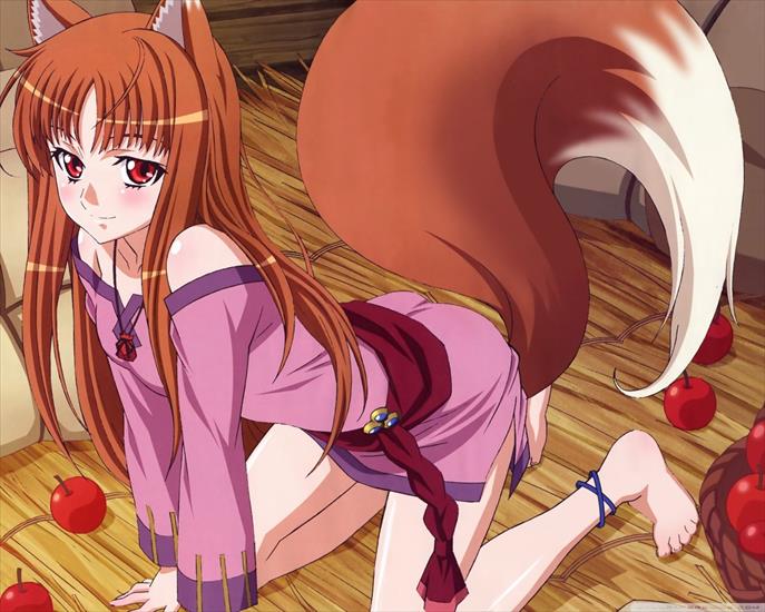 Tapety Anime - spice_and_wolf_horo_v-wallpaper-1280x1024.jpg