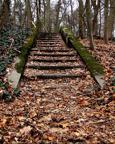 Schody - chemins-escaliers-chemin-escalier-21-img.jpg