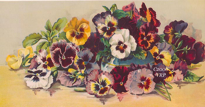 Wzory kwiatowe do decoupage - gallery-ru-22850450.jpg
