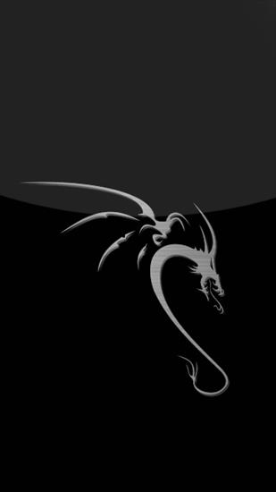 Tapety - Dragon 2.jpg