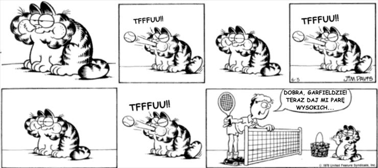 Garfield 1978-1979 - ga790603.gif