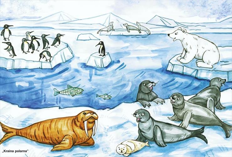 tablice edukacyjne1 - zwierzęta polarne.jpg