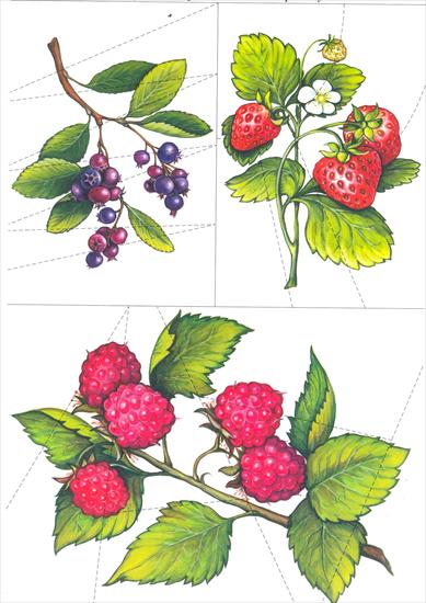 Owoce jagody - 15 Puzzle.jpg
