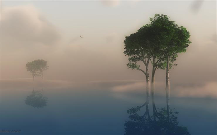 MGŁA - trees-in-fog.jpg
