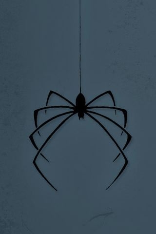 tapety - jwarren-spider.jpg