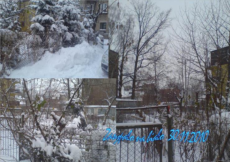 Pierwszy śnieg  28.11.2010 - Zasypało na biało 1.JPG