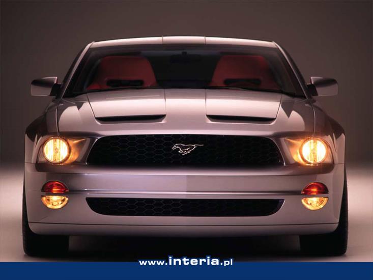 Auta1 - Ford Mustang02.jpg