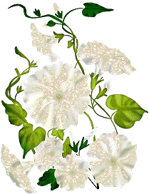 gify i jpg kwiaty animacje - flower015.gif