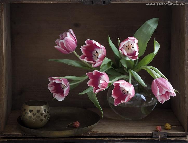Tulipany - 95000_szklana_kula_rozowe_tulipany.jpg