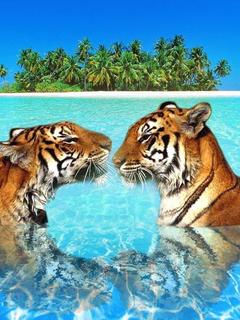 Zwierzęta - Tiger.jpg