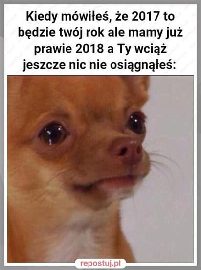 Słodkie - FB_IMG_1508744202182.jpg