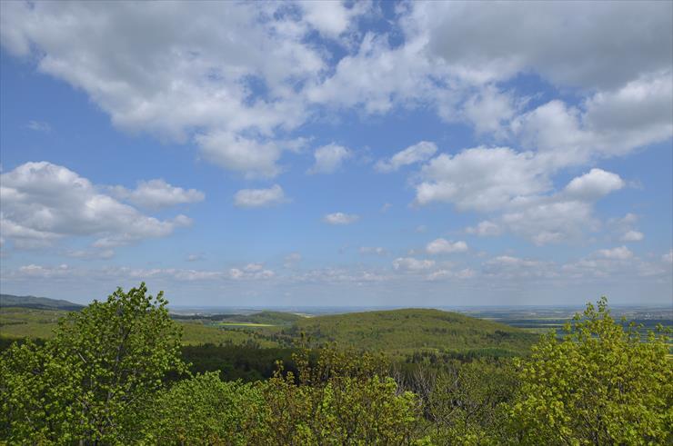 Rezerwat nad Groblą-Czechy - dsc_4319_25752127746_o1.jpg