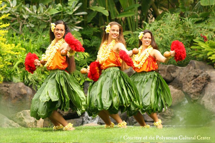 HAWAJSKIE PIĘKNOŚCI  - luau-hula-auana-women.jpg
