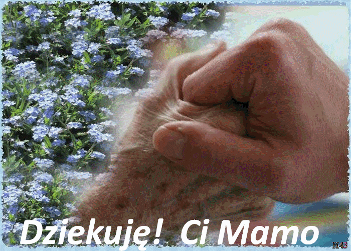 Dzień Matki - rece-niezapominajki-gliter-Hanka43.gif