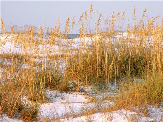 Natura i widoczki - Beach 22.jpg