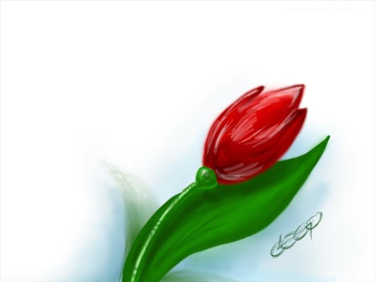 jadamk - wielkanoc_kwiat_tulipan.jpg