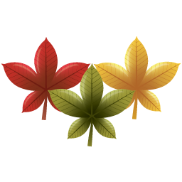 Linie i Ozdobniki Jesienne___ - autumn-leaves-chinese-red-maple-leaf-30.png