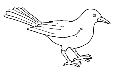 Zwierzaki - Ptak.gif