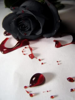 Flowers - Black_Rose.jpg