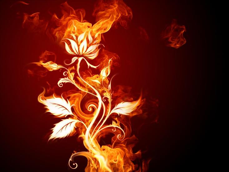 Flame Effects Design - 15.jpg