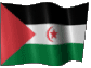 Flagi państwowe - Sahrawi Sahrawian, Sahraouian.gif