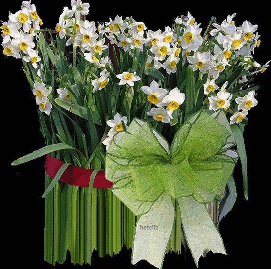 gify-narcyze , zonkile - kwiaty narcyze kokarda9898989.gif
