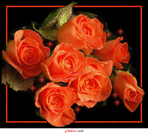 Gify Kwiaty Róże - iskrzące róże.gif