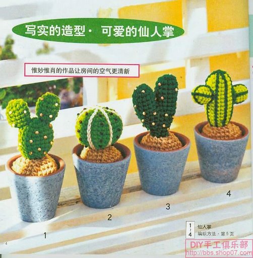 Cactus - Cactus3.jpg