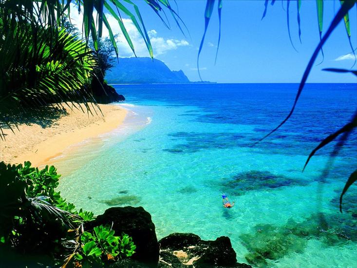 Hawaje - Snorkel Hawaii.jpg
