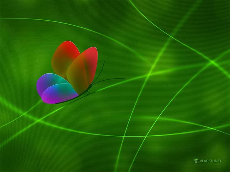 OBRAZY-GIFY NIEPOSEGREGOWANE - vladstudio_rainbow_butterfly_color3_800x600.jpg