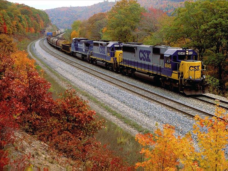 Kolej foto - CSX Transportation Company, Philson, Pennsylvania.jpg