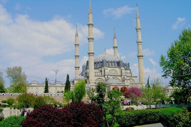 Architecture - Selimiye Mosque in Edirne - Turkey summer.jpg