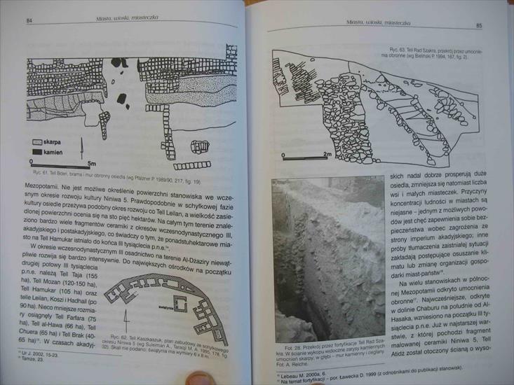Ławecka D - Północna Mezopotamia w czasach Sumerów - IMG_3120.jpg