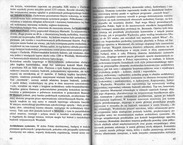 Świechowski- sztuka romańska w polsce 1 - 044.jpg
