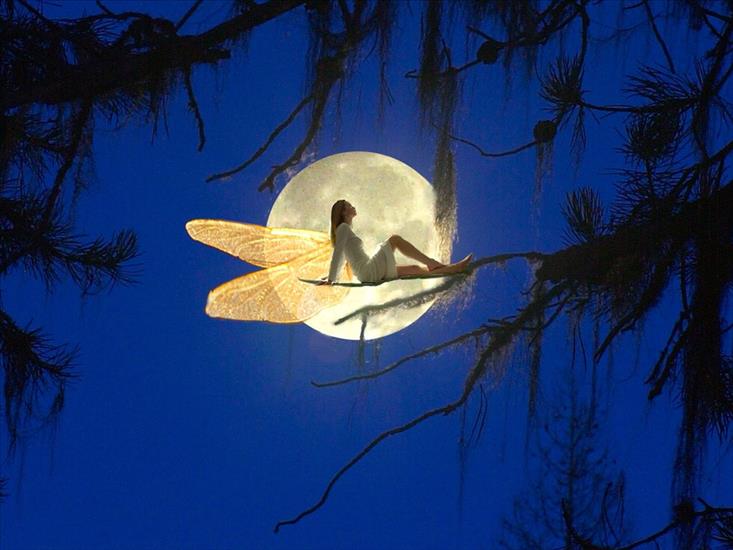 Galeria - Fairytale Moon.jpg