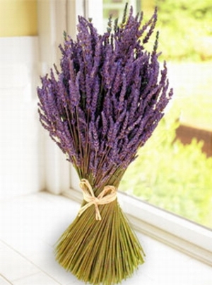 LAWĘDA - lavender4.jpg
