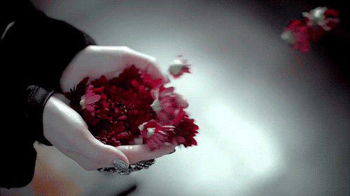 - z kwiatem w dłoni - ChomikImage 5.jpg