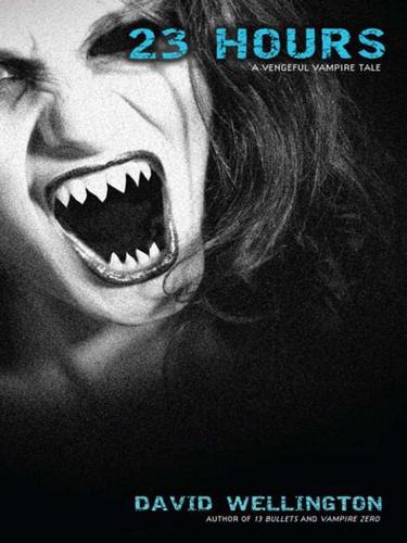 23 Hours_ A Vengeful Vampire Tale 6254 - cover.jpg