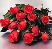 Kocham róże - ty i ja1.bmp