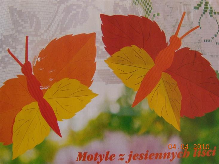 Prace jesienne - jesienne motyle.JPG