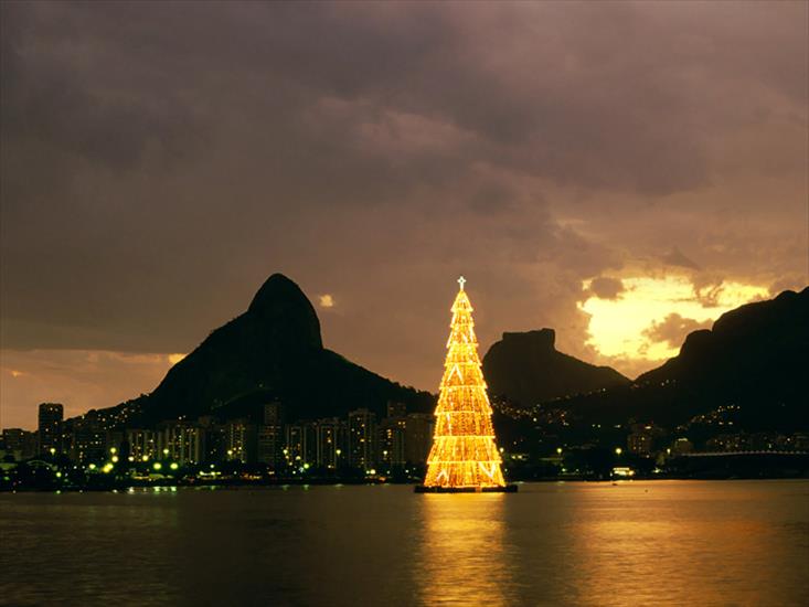 Rózne choinki świąteczne - Christmas_In_Rio_De_Janeiro,_Brazil.jpg